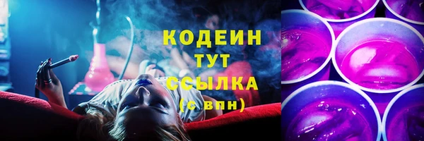 гидра Осинники