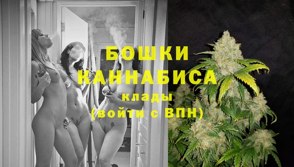 гидра Осинники