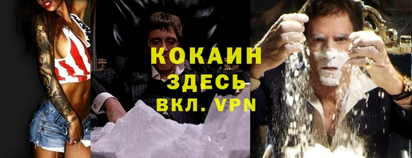 гидра Осинники